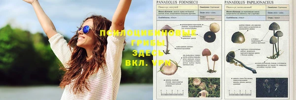 спайс Бугульма
