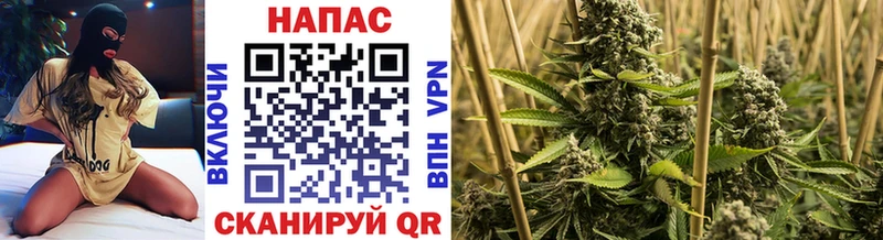 Шишки марихуана ГИДРОПОН  Луховицы 